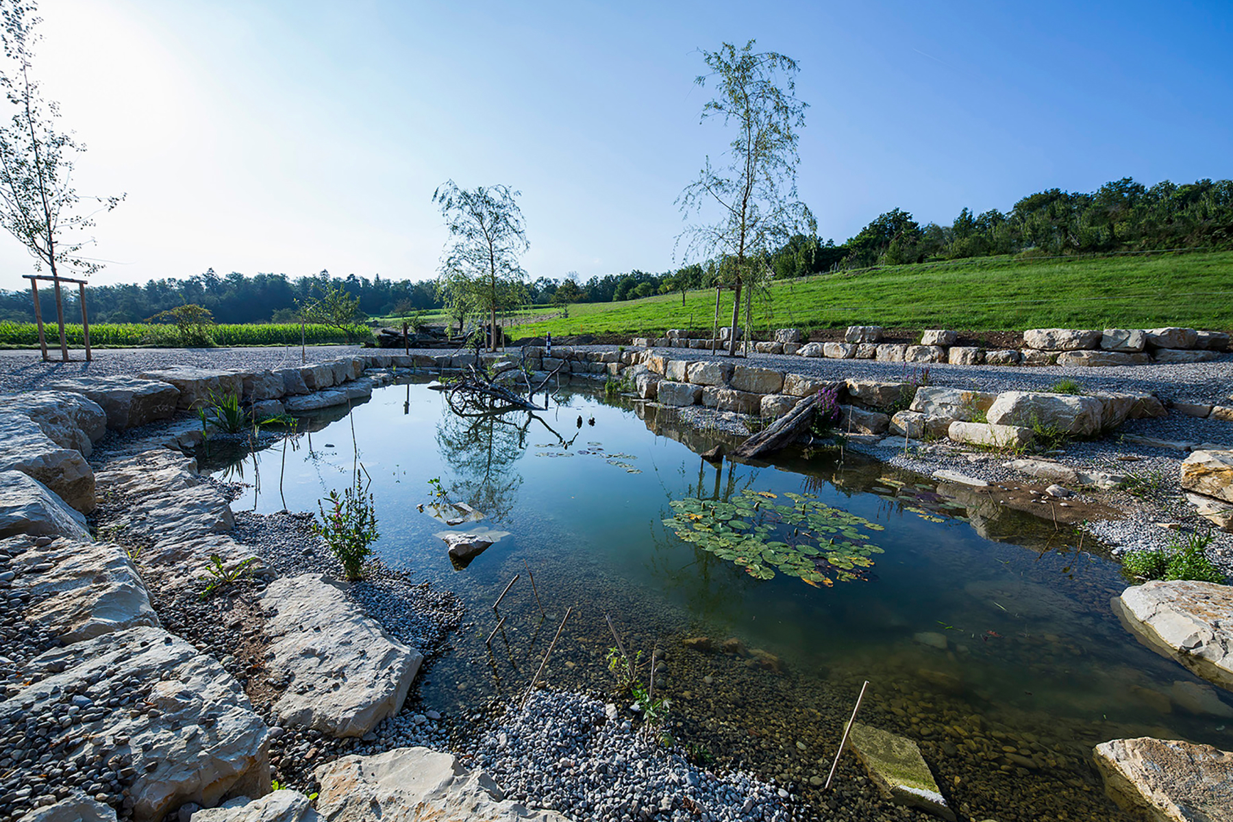 Pegasos Location pond image